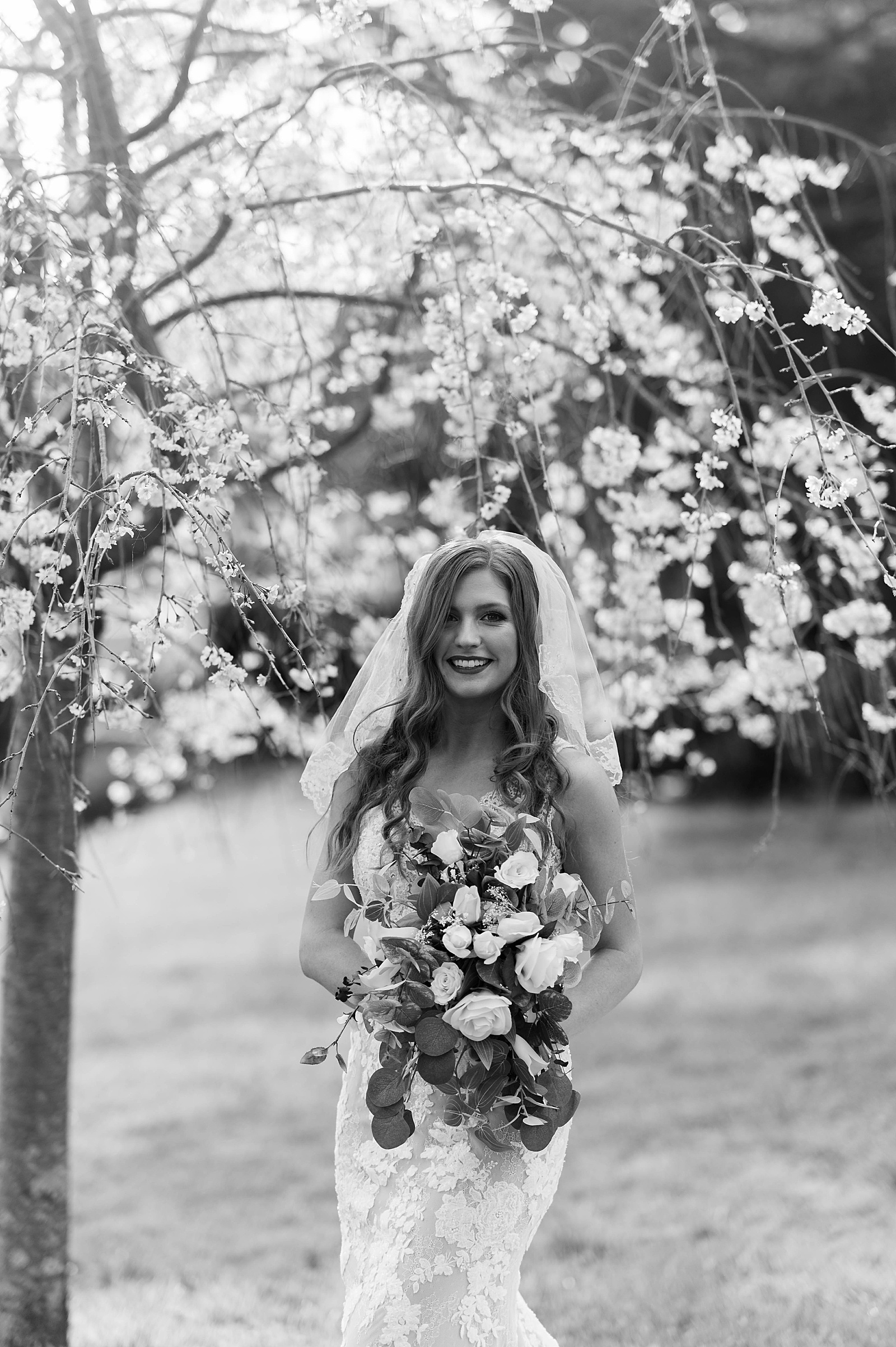 Woman in veil under blossoms for shoot by Hannah Louise Photo