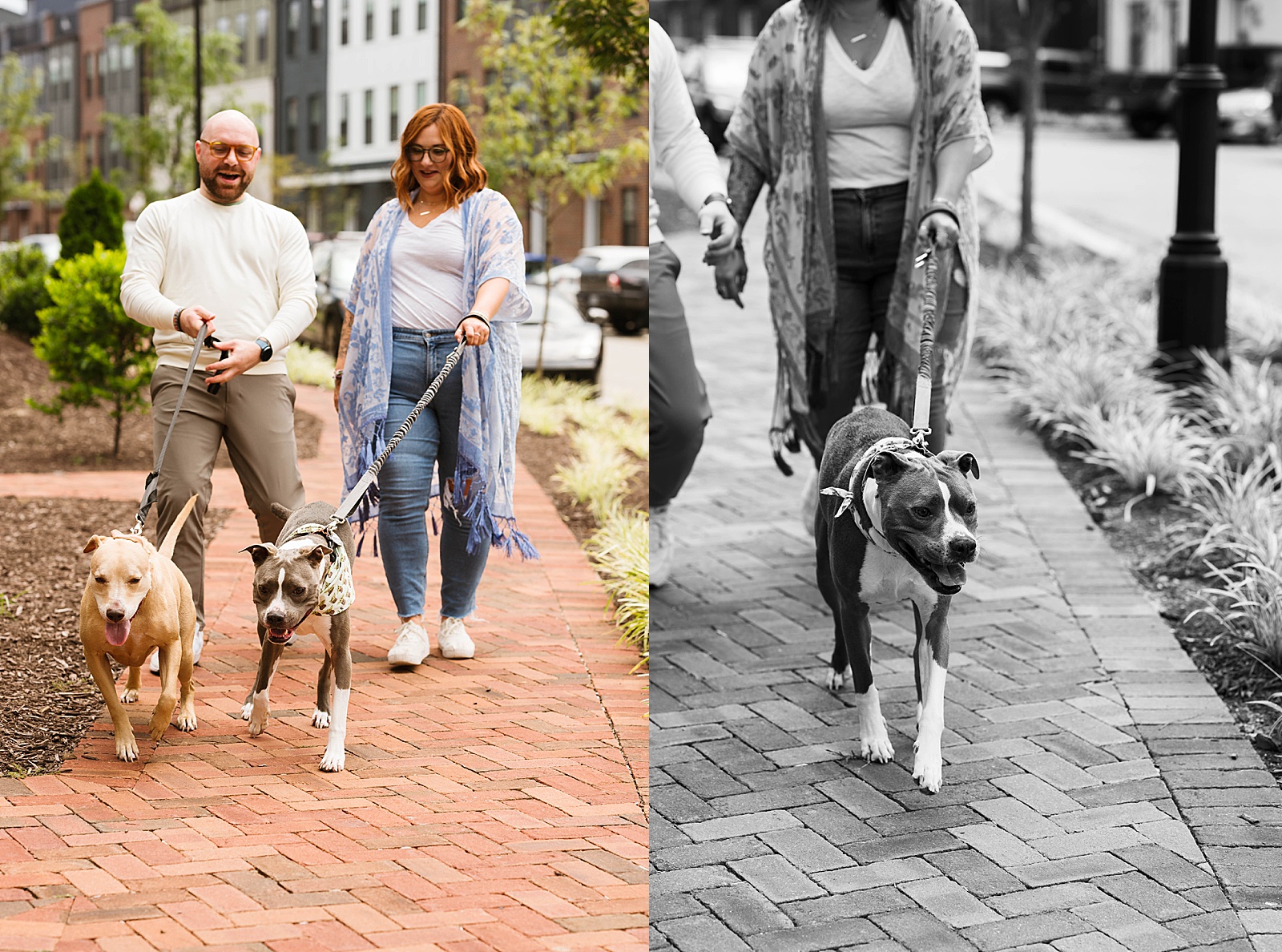 Couple walking their dogs on sidewalk for photo shoot with pups
