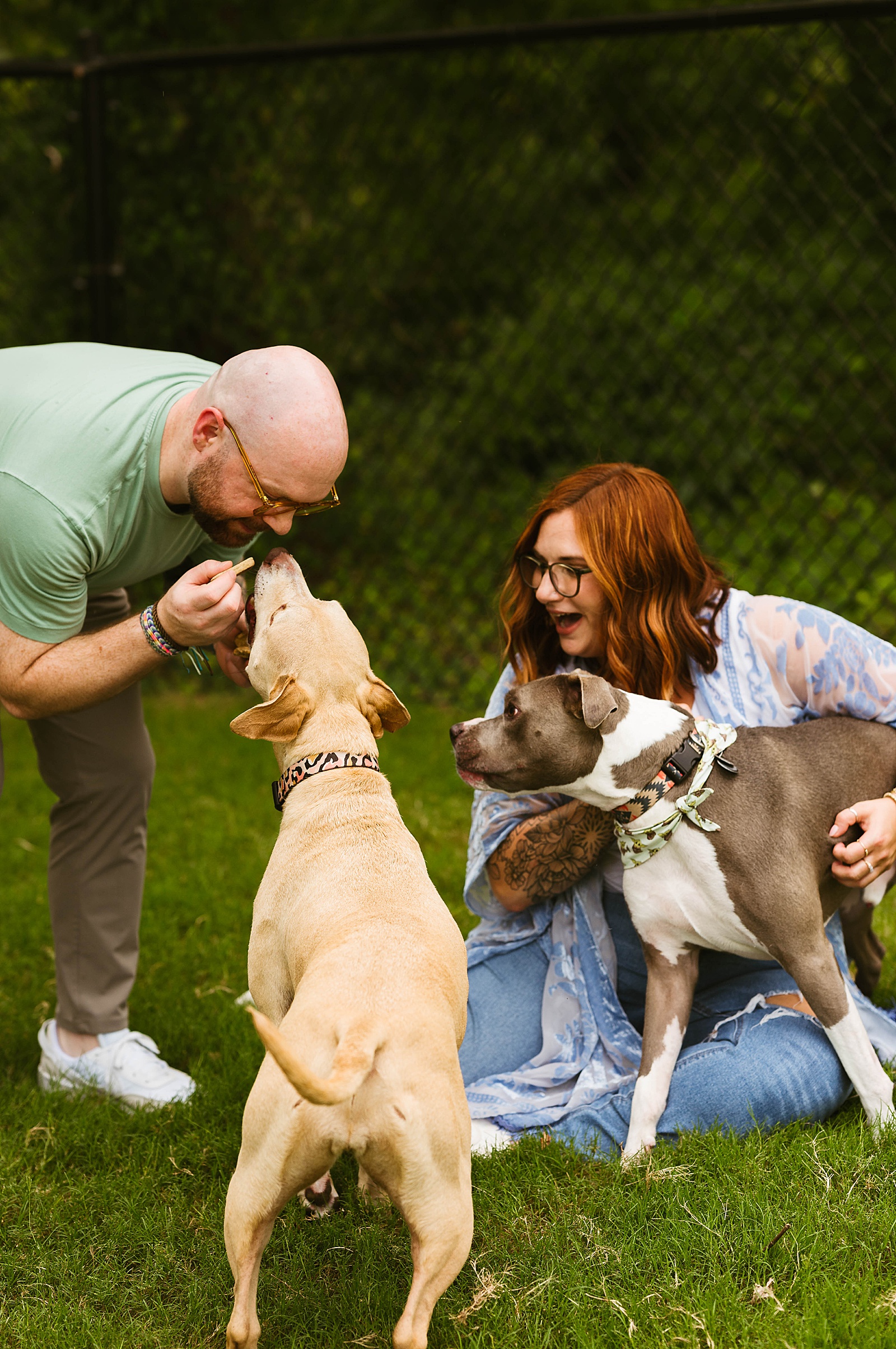 Man and woman playing with their dogs in park for photo shoot with pups