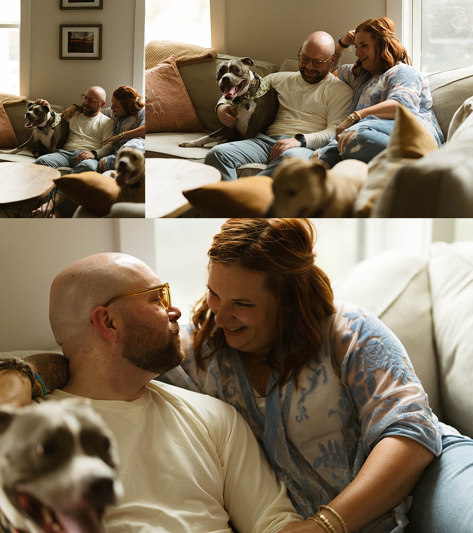 Couple snuggled on the couch with their dogs by Richmond Portrait Photographer