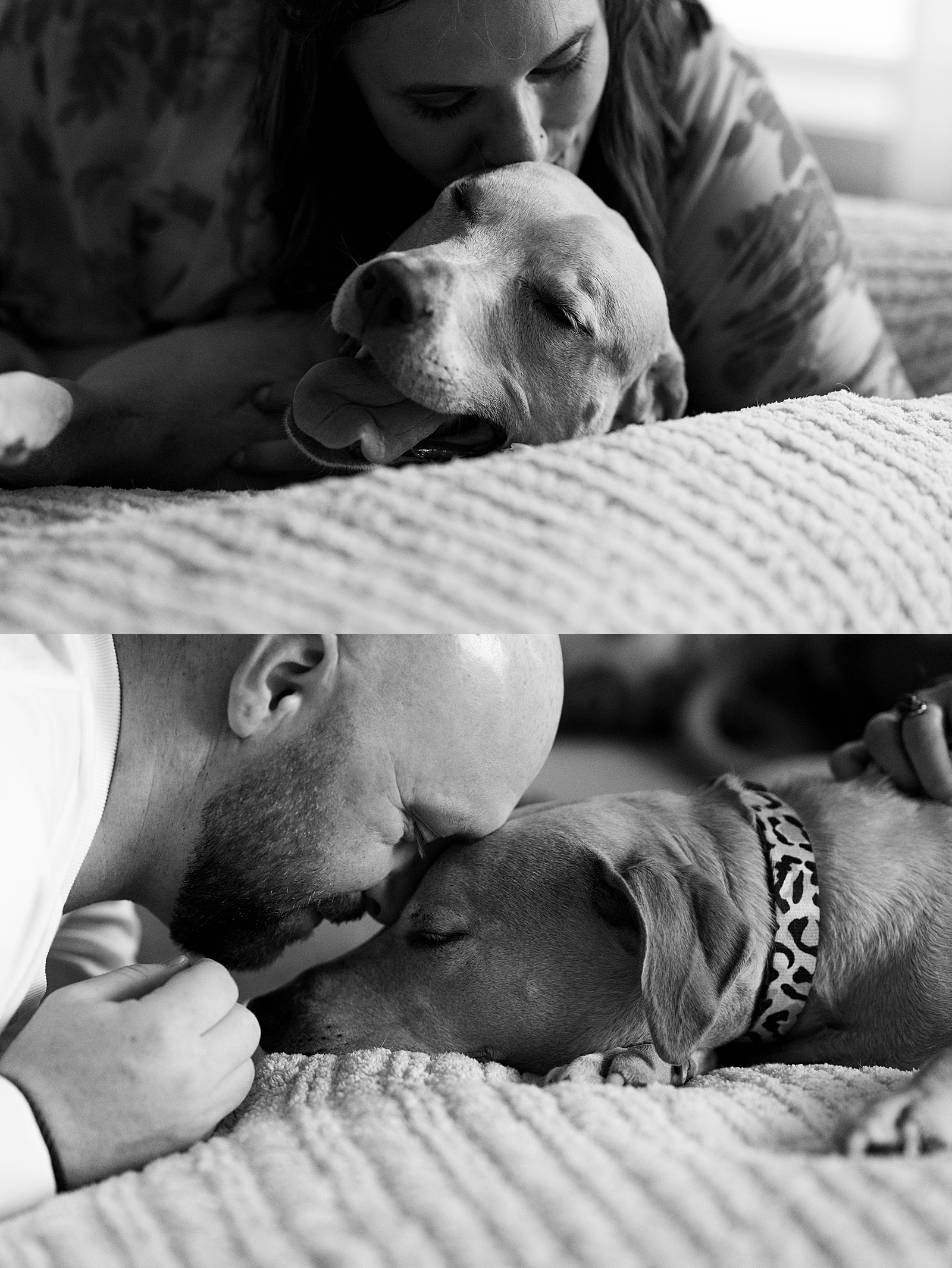 Man and woman kissing their dog by Hannah Louise Photo