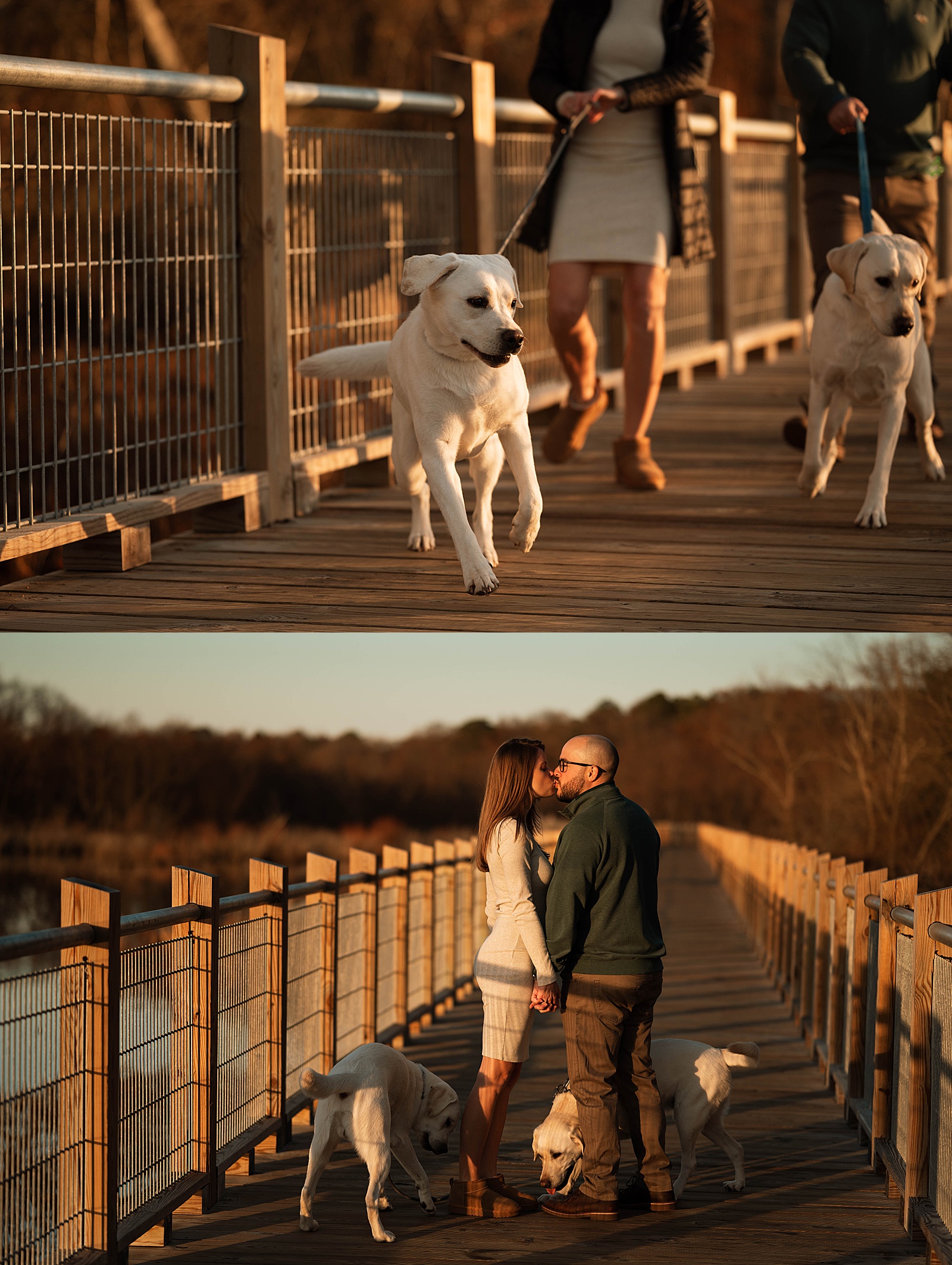 dogs running on dock near the water with a couple by Richmond portrait photographer 