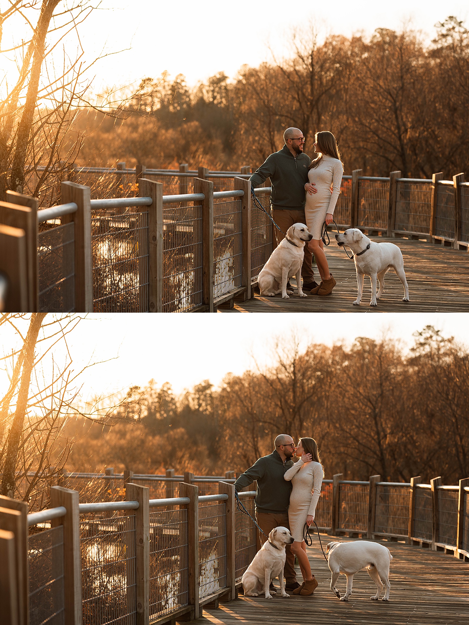 Expecting parents embracing in golden hour by Richmond portrait photographer 