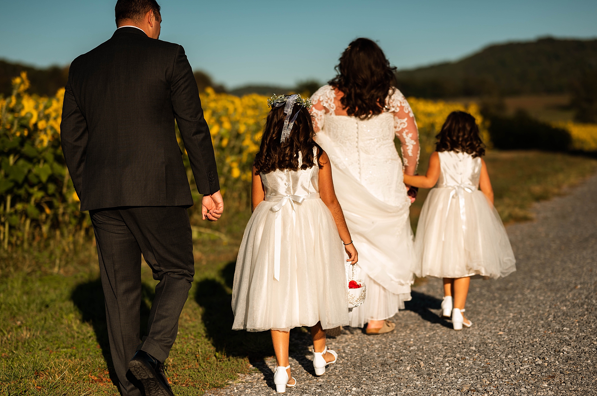 family walks together in golden light by Virginia Photographer